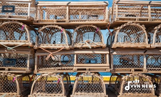 What Are Bass Traps & Why Are Bass Traps Important