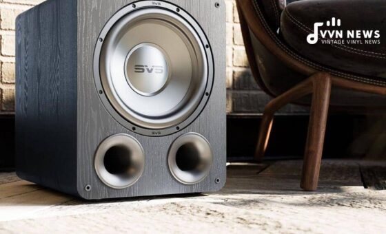 14 Best Studio Subwoofers