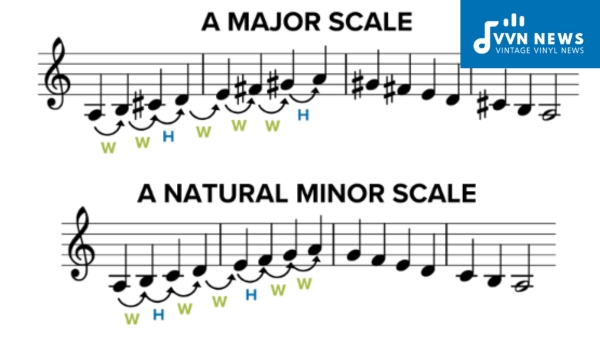 How Do Major and Minor Scales Differ