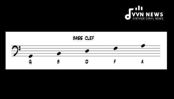 How to Read the Treble Clef and Bass Clef