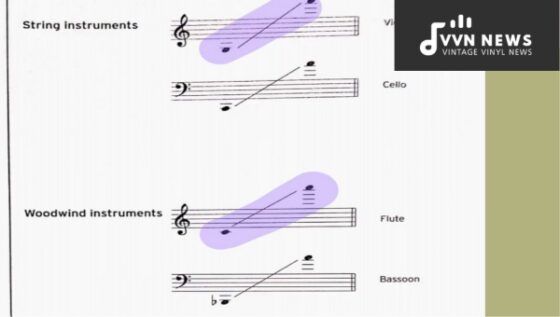 How To Transpose Down An Octave