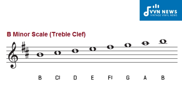 Scale degrees of the B Minor Scale