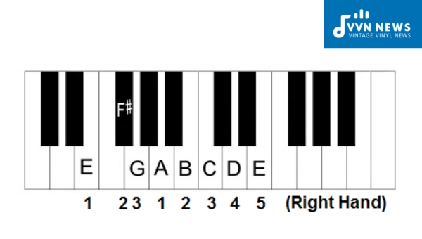 Scale Degrees of the E Minor Scale