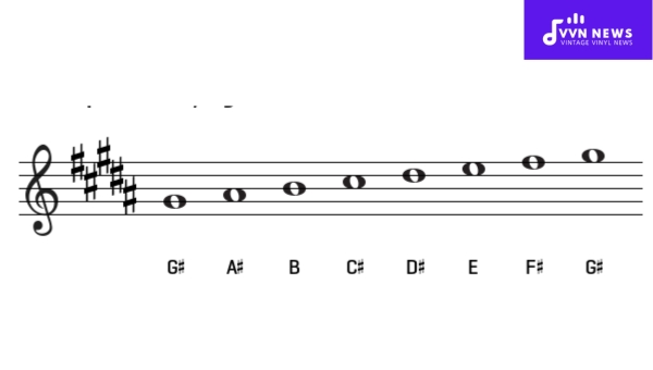 Depicting the G Sharp Minor Scale in Different Clefs