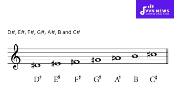 The D Sharp Minor Scale