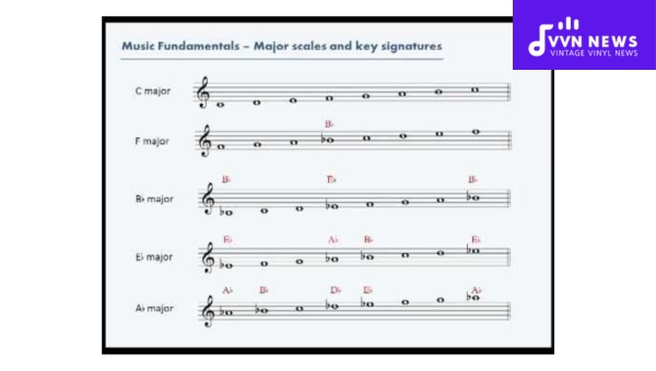 What are the fundamentals of musical scales